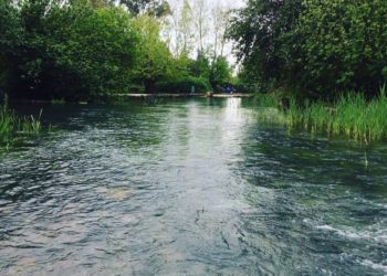 من نهر الأردن إلى نهر النيل