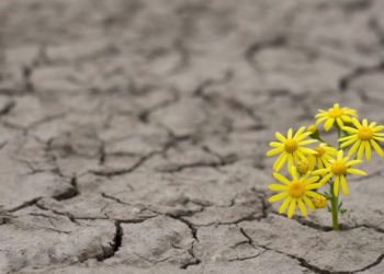 سوداوية وفسحة أمل