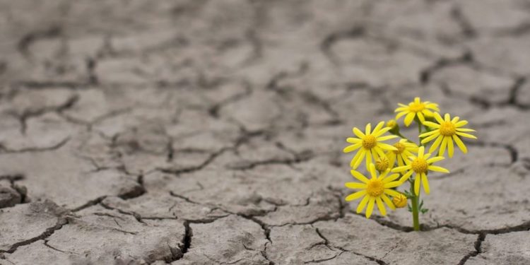 سوداوية وفسحة أمل