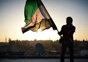 الموقف العربي من الثورة السورية