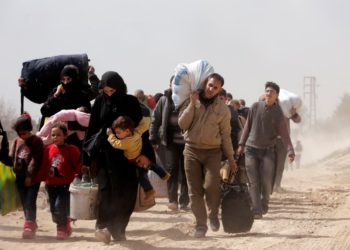 ما العمل إزاء هذا الحصاد المرير