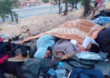 السوريون العالقون على الحدود: الشتات المزدوج