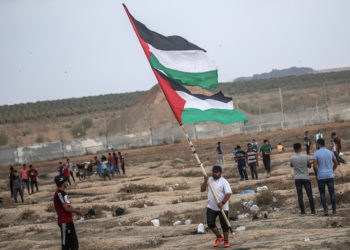 فلسطين أولًا… وفلسطين دائمًا