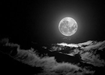 في تلك الليلة الظلماء!