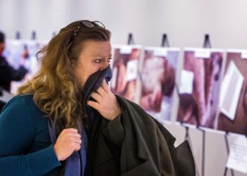 فورين بوليسي: محكمة ألمانية تفضح فظائع نظام الأسد                          وتنهي أي آمال في المصالحة الدولية