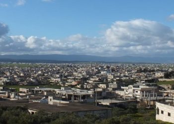 ريف حمص الشمالي.. زيتون مغمس بالدم وقصف جوي وسرايا اغتيال مجهولة