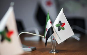 إضاءة سياسية: البدائل الهزيلة