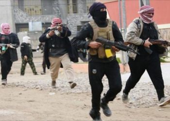 الأزمات تعصف بالتنظيمات شمالي سورية