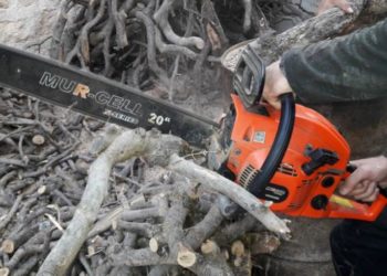 في ظل سطوة يسار الأسد.. حطب التدفئة باللاذقية “حلمٌ صعب المنال”