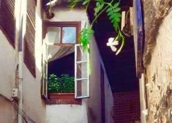 طالَ ليلي يا دمشقُ