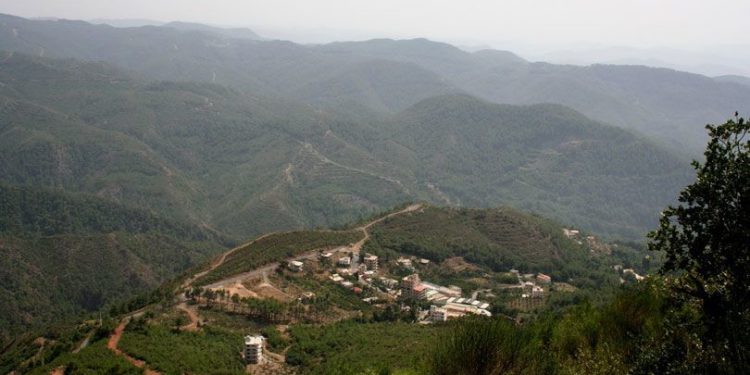 رسالة إلى البيت العلوي