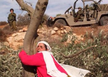 ذاكرة لوطن مستباح