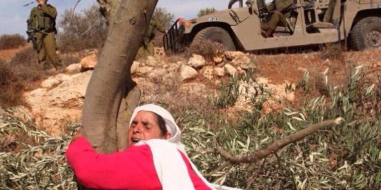 ذاكرة لوطن مستباح