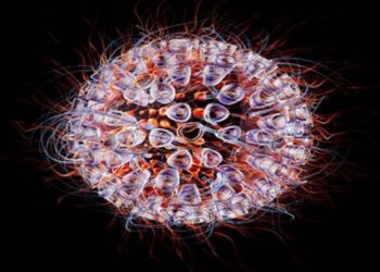 دواء للسكري قد يكون سلاحاً ضدّ فيروس نقص المناعة البشرية