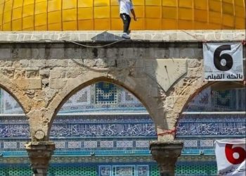 إلى فلسطين خذوني معكم