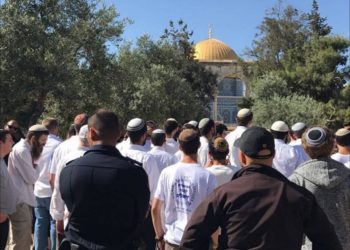 واشنطن بوست: الصهيونية لا تفضي إلى سلام عادل