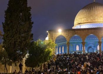 وحدهم أهل فلسطين استقلوا