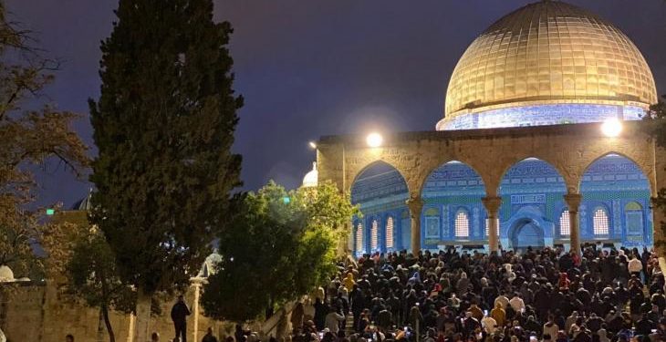 وحدهم أهل فلسطين استقلوا