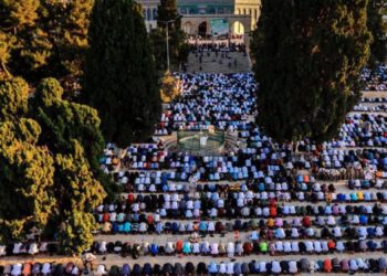 يكفي أن تكون إنسانًا