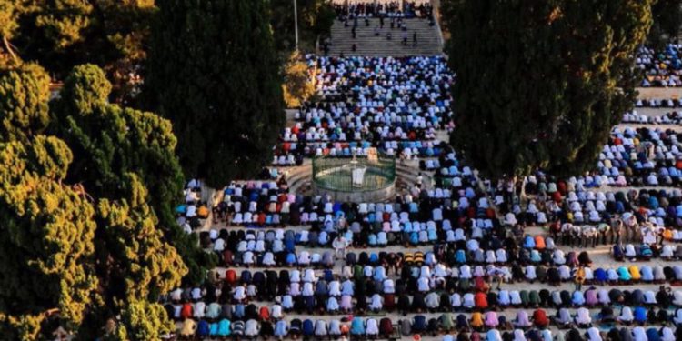 يكفي أن تكون إنسانًا