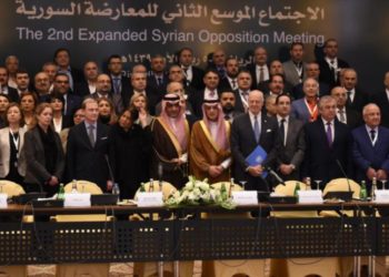 الدور الوظيفي في كيانات الثورة.. واقع أم وهم؟