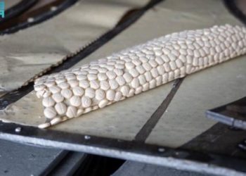 السعودية تضبط 14 مليون حبة كبتاغون مهربة من لبنان