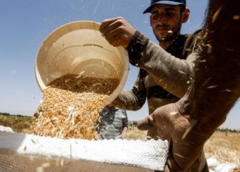 رغيف السوريين مهدّد: أزمة الخبز تتعاظم وتحذيرات من المجاعة