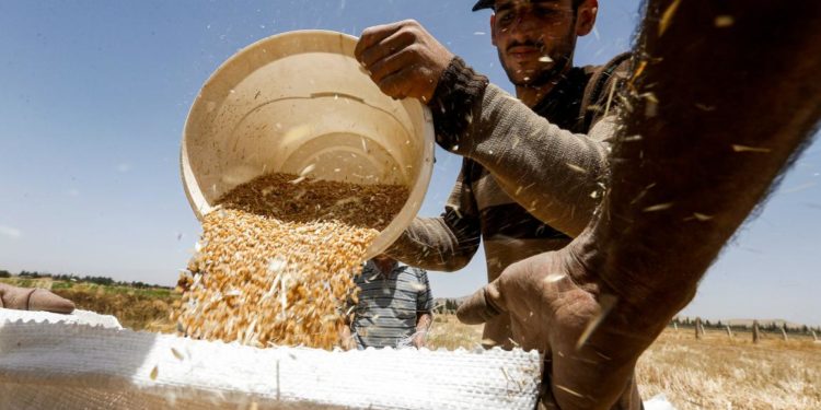 رغيف السوريين مهدّد: أزمة الخبز تتعاظم وتحذيرات من المجاعة