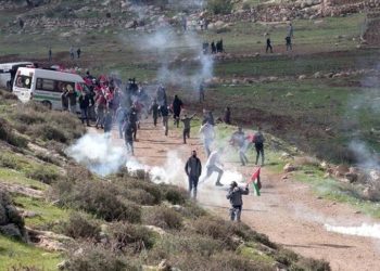 ماذا يقول الإسرائيليون عن مسؤولية تلويث الأرض في فلسطين؟