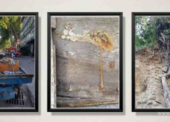 فنّيات البكار ….. في قراءة جديدة