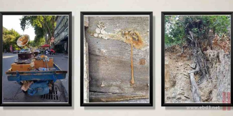 فنّيات البكار ….. في قراءة جديدة