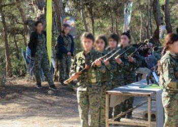 الدولة الوطنية والأقليات الخائنة