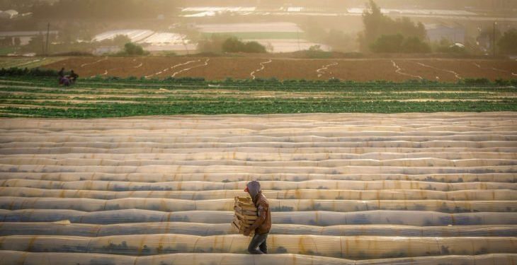 “تعاونيات شبابية”.. مدخل الفلسطينيين لحياة مختلفة ومحاربة الاستيطان أيضًا