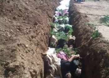 مجزرة داريا الكبرى: شهادات عن 7 أيام من القصف والذبح والإعدامات الميدانية