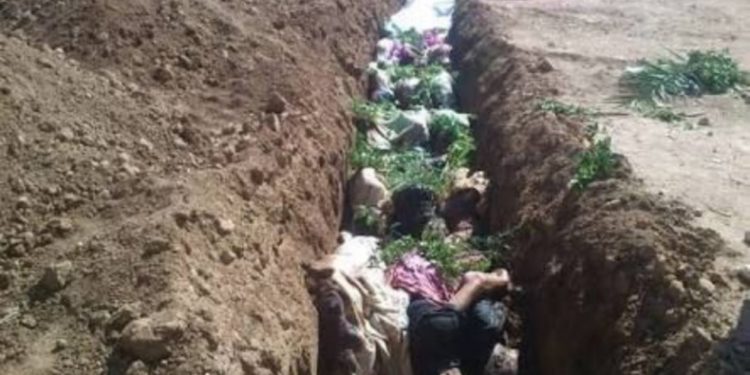 مجزرة داريا الكبرى: شهادات عن 7 أيام من القصف والذبح والإعدامات الميدانية