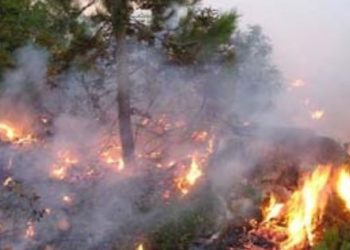 مأساة جزائرية تدمي القلب .. سارة وجوهر تحتضنان جثة والدتهما وتتفحمان معها