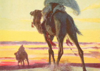 هاجس في صحراء الأعراب