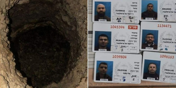 العنقاء الفلسطينية والبحث عن الحرية