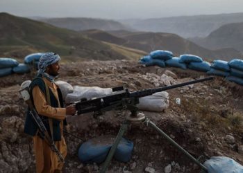 تخطيط “طالبان” لحظر المخدرات يغير العالم إلى الأسوأ