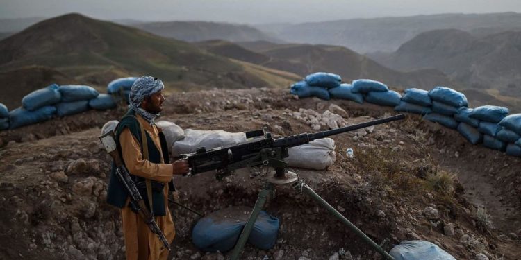 تخطيط “طالبان” لحظر المخدرات يغير العالم إلى الأسوأ