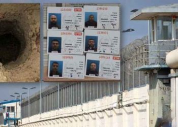 تلك البساطة.. ذلك العمق