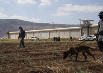 أجل بالملعقة.. إنه حلم الحرّية