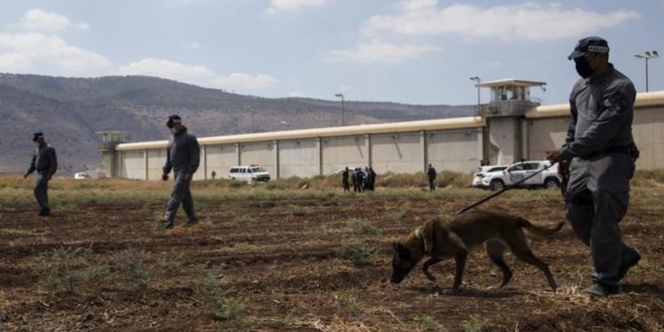 أجل بالملعقة.. إنه حلم الحرّية