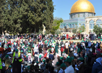 رد على مقال عادت قضية فلسطين توحدنا من جديد ؟!
