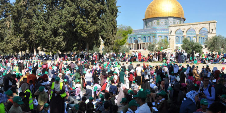 رد على مقال عادت قضية فلسطين توحدنا من جديد ؟!