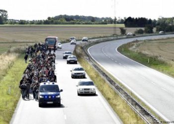 ما المواطنة ومن هم المواطنون في أوروبا؟