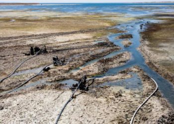 الجفاف في سورية.. أنهار تجف وسلة غذائية فارغة (2)