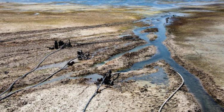 الجفاف في سورية.. أنهار تجف وسلة غذائية فارغة (2)