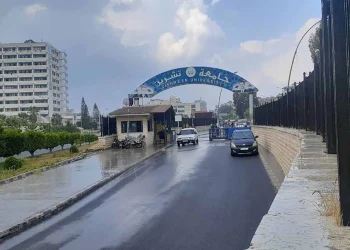 التعليم العالي في مناطق النظام السوري: الواقع والنهوض في المستقبل