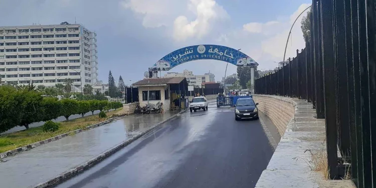 التعليم العالي في مناطق النظام السوري: الواقع والنهوض في المستقبل